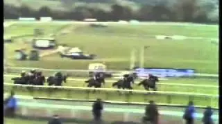 Horse Racing 1985 Mackeson Gold Cup Chase Cheltenham  Half Free second win