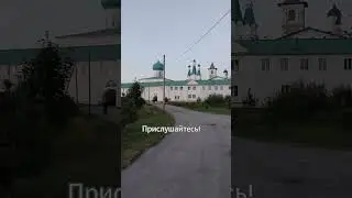 Александро-Свирский монастырь перед праздником!#монастырь#православие#александрсвирский#храмы#вечер