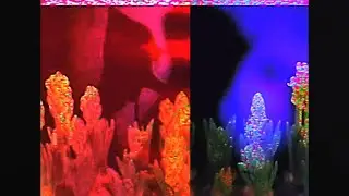 RealTealAngel.wav (VHS MUSIC VIDEO)