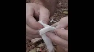 Tampon Friction Fire