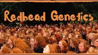 Redhead Genetics
