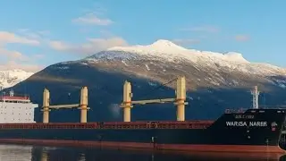 Precious Shipping Public Company Limited's first quarter 2025 results