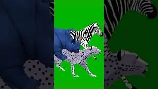 All Cartoon Animal Stampede Green Screen | Cartoon Animal Running Walking #animalsounds #greenscreen