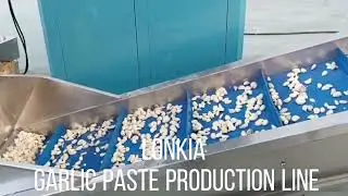 Garlic paste production line
