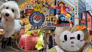 TOP Things To Do For 1 Day in Osaka for Pokemon/Anime fans/Foodies.