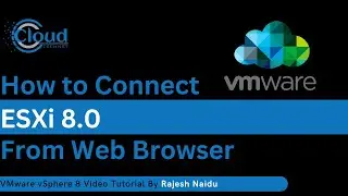How to connect ESXi8 from Web Browser