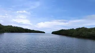 Coringa wildlife sanctuary # boating point #mangroves#Kakinada#andrapradesh# confluence of river sea