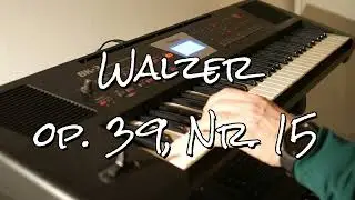 Walzer op. 39, Nr. 15, Johannes Brahms - Played On The Roland BK-3 Keyboard #rolandbk3