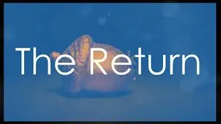 invideo ai 1080 Luna and Spark's Magical Adventure in th 2024 06 17