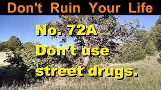 DRYL No. 72A -- Don't use street drugs.