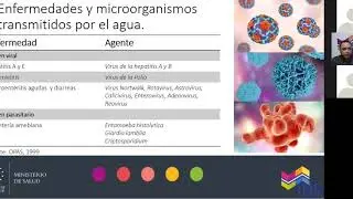 Vigilancia microbiol&oacute;gica de agua para consumo humano no potable y de uso recreativo