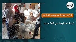 أرخص مروحة في سوق التونسي ..  تبدأ أسعارها من 300 جنيه