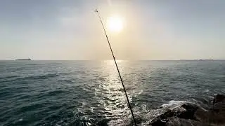 Calm Fishing Rod by the Sea 🎣🌊 | Relaxing Ocean Sounds