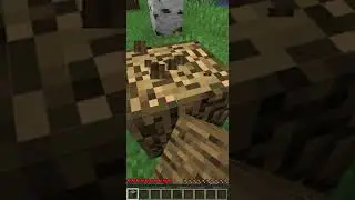 Minecraft But You Can't Touch the Color Black...