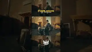 Dj Piligrim - PARI MARI #pop #dance #house