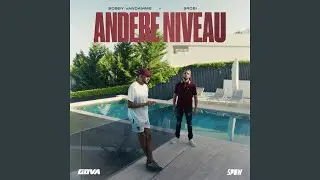 Andere Niveau