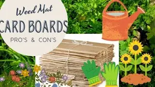 Card Boards as Weed Mat | The Garden Gold | Bio-degradable & Eco-friendly | PRO'S & CON'S