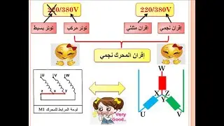 تمرين عن وظيفة الاستطاعة و  وظيفة الحماية