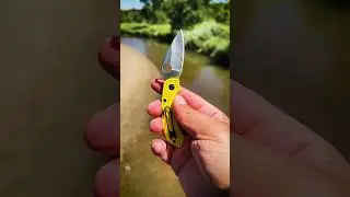 Dragonfly&trade; 2 Salt&reg;  &nbsp;#Spyderco #SpydercoKnives
