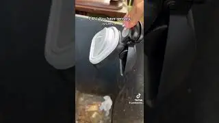 Dog Poop Scooper for More affordable price