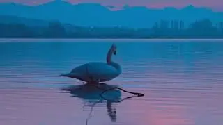 Vedanta - Binoy Rajan