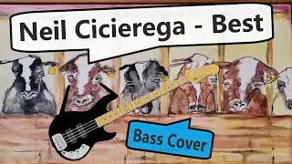 Neil Cicierega - Best Bass Cover