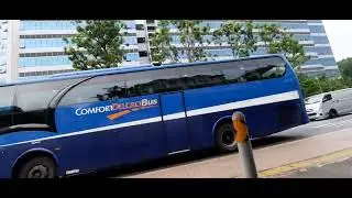 comfort delgro bus