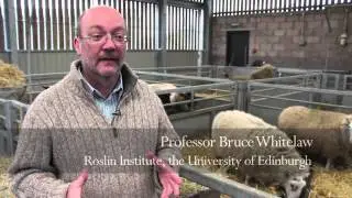 Indian Partnerships with the University of Edinburgh