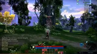 TERA Online Archer Gameplay HD, CBT3