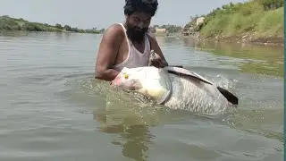 Greatest Catla Fishing Video 2 || 22 KG KATLA || Fish wahi Jagah wahi Andaz Alag
