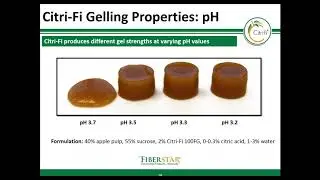 Citri-Fi Natural Citrus Fiber Overview