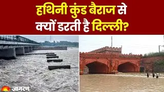 Delhi Yamuna Flood Updates: Hathni kund barrage क्यों डरती है दिल्ली? | Delhi NCR Flood News