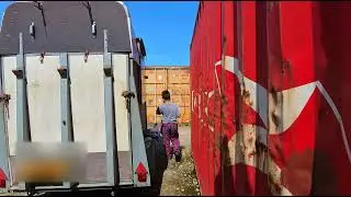 Painting a horse trailer