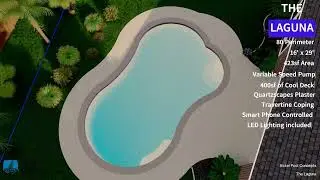 Free-form Swimming Pool ( The Laguna)
