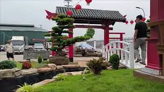 hồ Koi nhật đẹp rẻ nhất lh .0352777772
