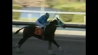 ALEXIS FELICIANO - Cerca de caer en la parte final