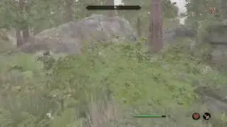 Oblivion Remastered Who Wants to Be a Hero