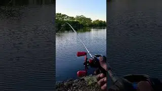 NO BACKLASH | Baitcaster #texasrig #setup #baitcaster #fishing #fishingvideo #fish #fishingchannel