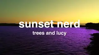 lofi jazz/aesthetic playlist [sunset nerd] trees and lucy