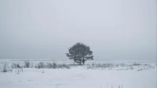 Krampfhaft - Frost (Official Video)