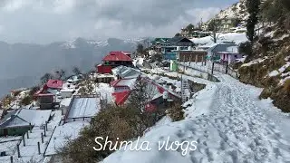 How day starts in mountains with snow #shimla #shimlavlogs #snowfall #snow 