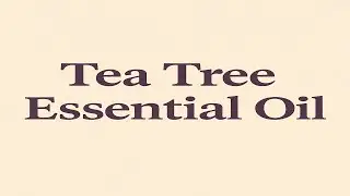 Tea Tree-Essential Oil-Benefits, Origins, Traditions, Nature&rsquo;s Antiseptic-Protection and Healing