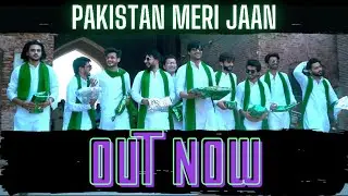 Pakistan Meri Jaan | Official Video | National Song 2020 | Laila Tul Qadar | LR Group of Companies