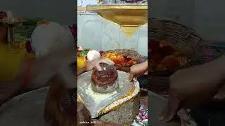 सिद्ध पीठ श्री गंगेश्वर महादेव मंदिर हरिद्वार #शिव #rudrabhishek #love किस किस ने यहा के दर्शन किए ह