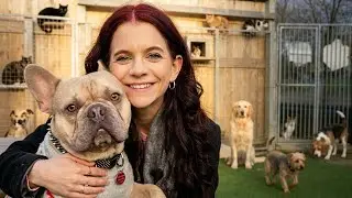 🐶🐾Спасение после дождя в Ротереме!🐱