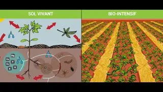 Bio intensive Gardening: The Fundamentals - Beds, Foot Paths & Watering