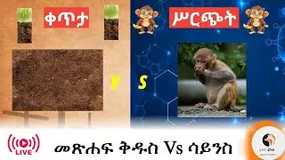 God or Gorilla: The Human Origin Debate