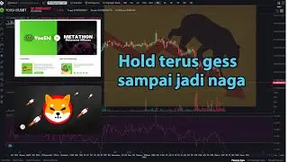 Holder sejati tidak akan pernah Cutloss, Shiba dan Yooshi Holder tetap Santui