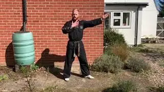 Machine Gun Kick 2 by Dale Farnham