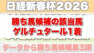 【日経新春杯2026】データから導き出される好走馬!!8年続く法則とは!?【データ予想】
